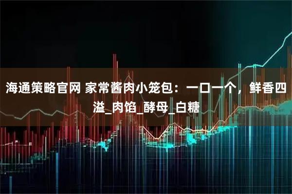 海通策略官网 家常酱肉小笼包：一口一个，鲜香四溢_肉馅_酵母_白糖