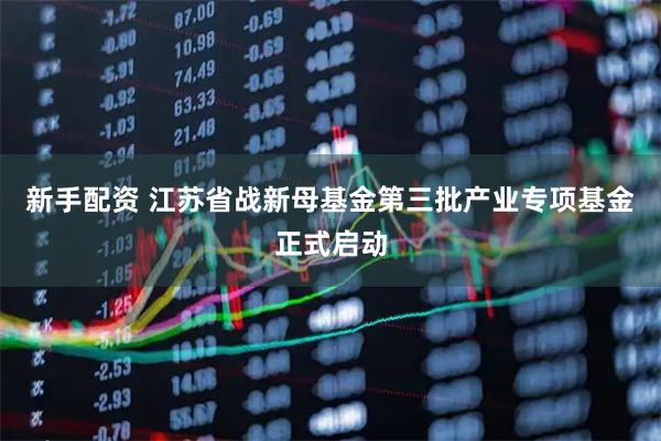新手配资 江苏省战新母基金第三批产业专项基金正式启动