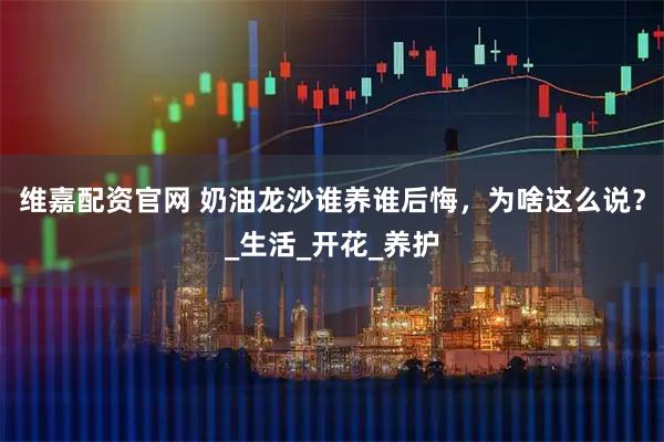 维嘉配资官网 奶油龙沙谁养谁后悔，为啥这么说？_生活_开花_养护