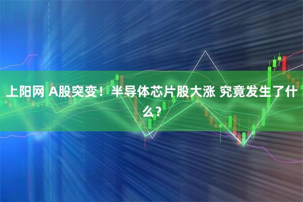 上阳网 A股突变！半导体芯片股大涨 究竟发生了什么？