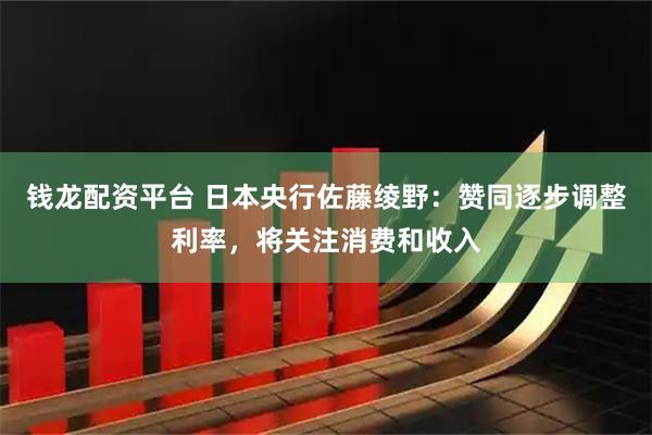钱龙配资平台 日本央行佐藤绫野：赞同逐步调整利率，将关注消费和收入